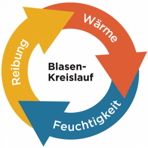 Schema des Blasenkreislaufs