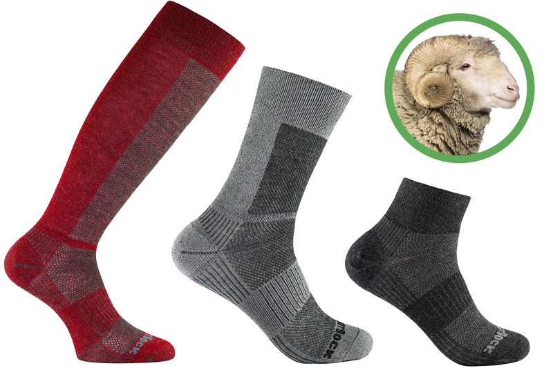 Merino Coolmesh II