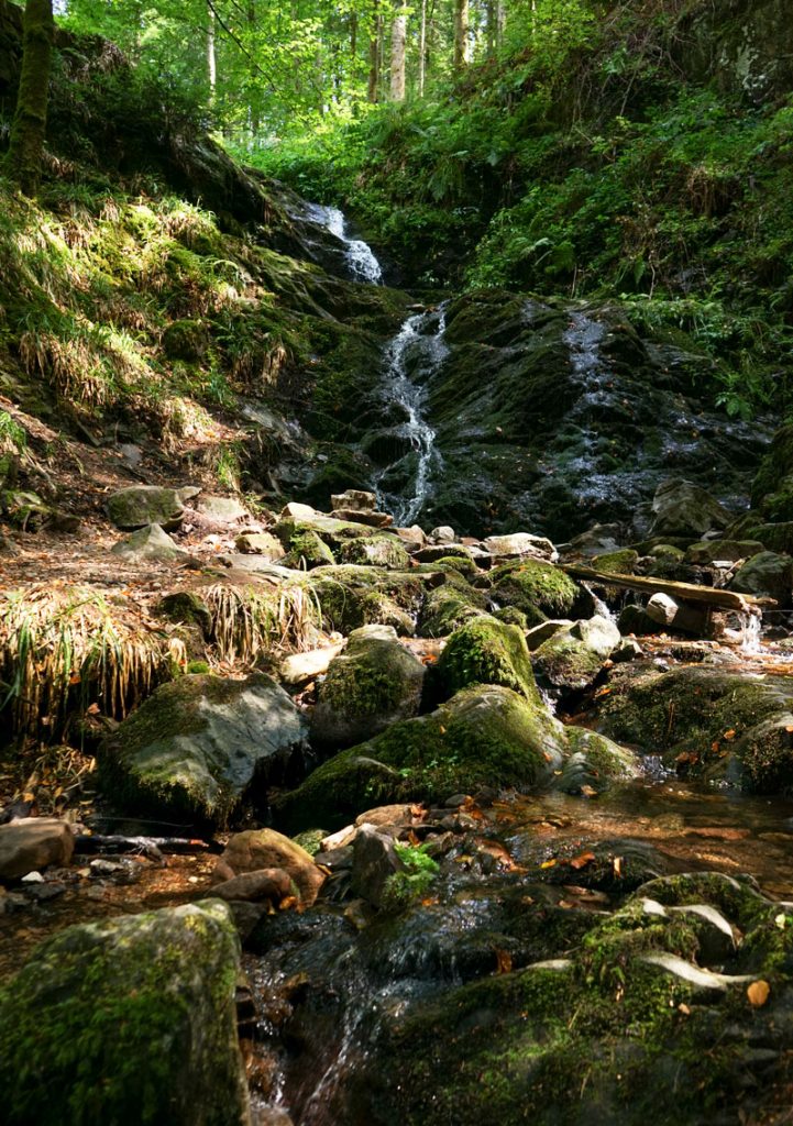 Impression vom Holchenwasserfall