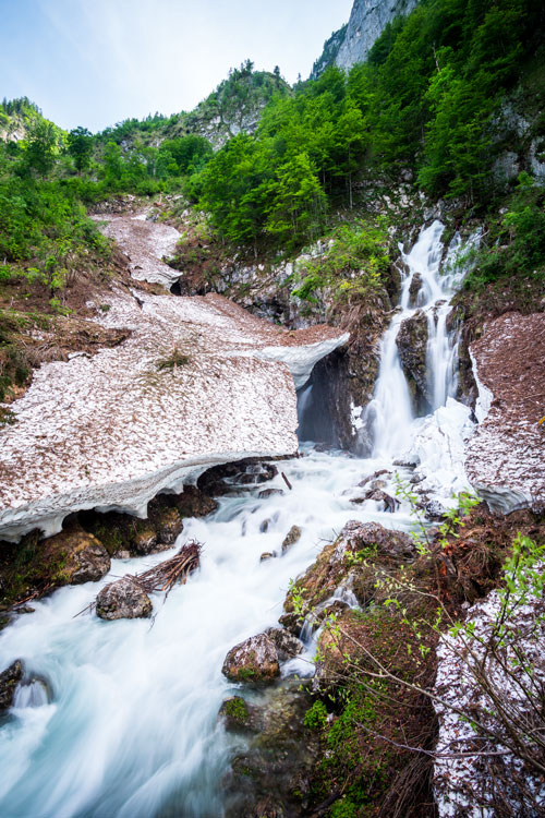 Dachserfall