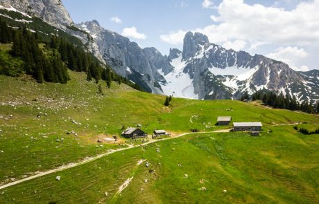 Stuhlalm Bischofsmuetze